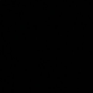 Meet your Posher, Jaden